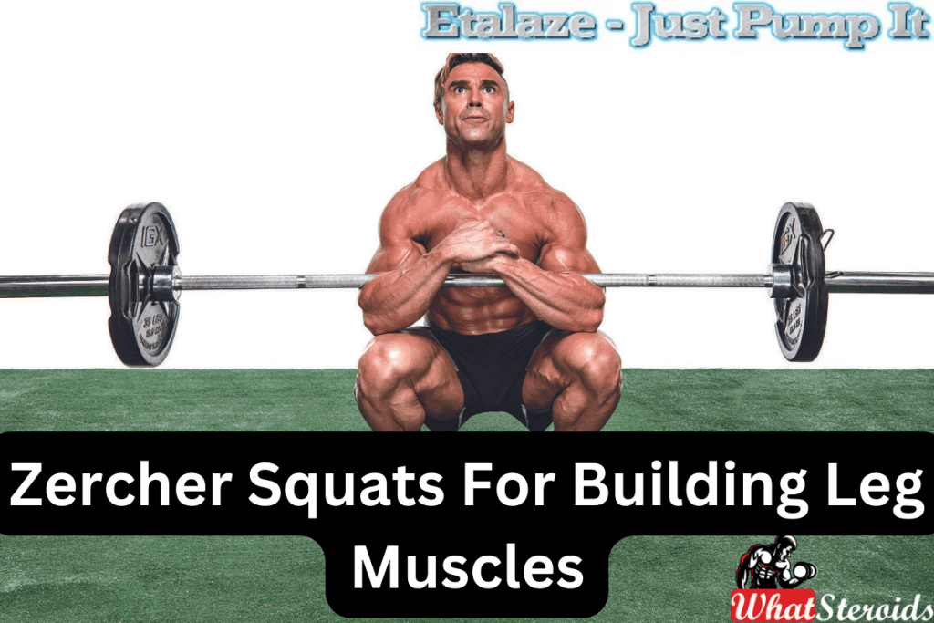 Zercher Squats For Building Leg Muscles What Steroids