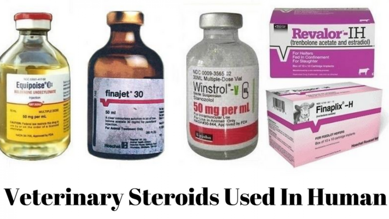 What You Should Have Asked Your Teachers About steroids side effects male