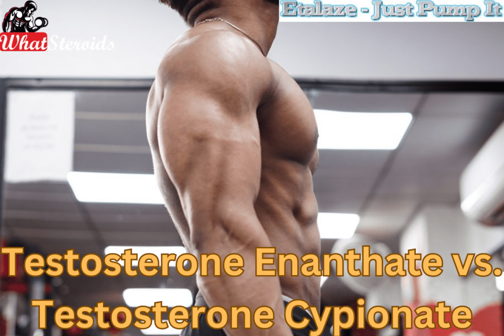 Differences Between Testosterone Enanthate vs Cypionate